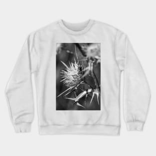 One seed head. Crewneck Sweatshirt